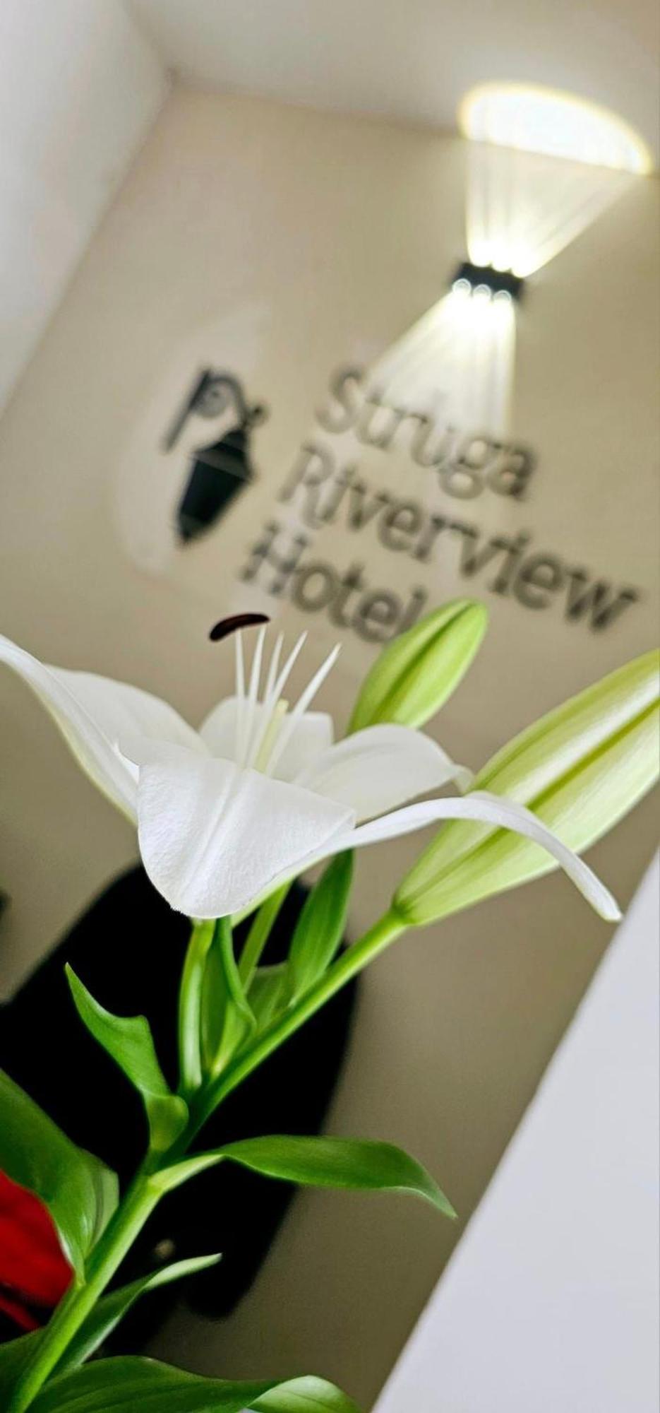Struga Riverview Hotel Exterior photo